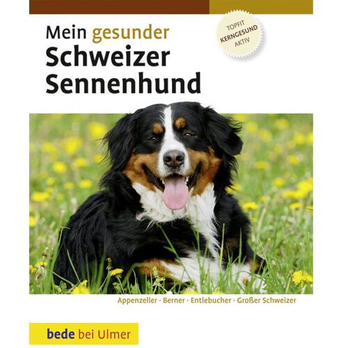 Ulmer Eugen Verlag Mein gesunder Schweizer Sennenhund