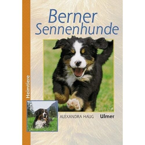 Ulmer Eugen Verlag Berner Sennenhunde