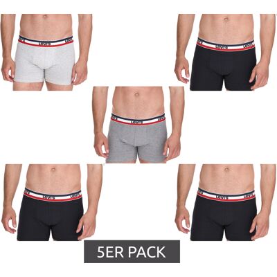 LEVI´S 5er Pack LEVI`S Herren Boxershorts Baumwoll-Unterwäsche mit farblichen Akzenten am Bund 701224335 Schwarz/Grau - männlich - Size: S LEVI´S 5er Pack LEVI`S Herren Boxershorts Baumwoll-Unterwäsche mit farblichen Akzenten am Bund 701224335 Schwarz/Grau - männlich - Size: S
