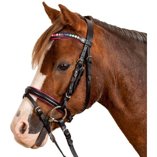 Waldhausen Trensenzaum Star Pinky Trense Schwarz SH kavalio - für mich und mein Pferd - Schwarz