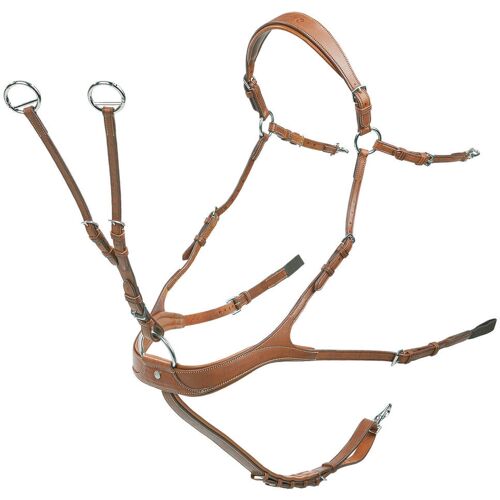 BUSSE Vorderzeug Take-Off Line AP Braun VB/WB kavalio - für mich und mein Pferd - Braun