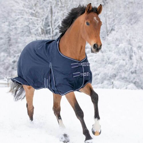 Waldhausen Outdoordecke 200g Economic Weidedecke Nachtblau 125 cm kavalio - für mich und mein Pferd - Nachtblau