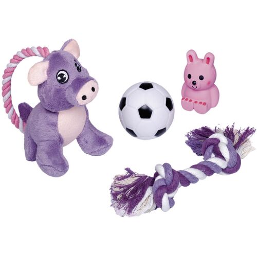 Nobby Hundespielzeug Puppy Starter Set Welpenspielzeug