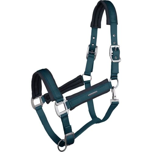 Waldhausen Halfter Soft Touch Nylonhalfter Petrol Blue Warmblut kavalio - für mich und mein Pferd - Petrol Blue