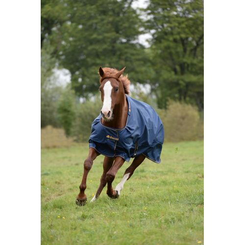 Bucas Outdoordecke 150g Irish Turnout Weidedecke Navy/ Gold 115 kavalio - für mich und mein Pferd - Navy/ Gold