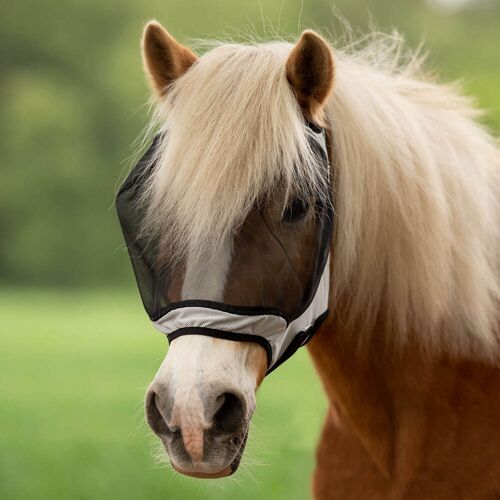 BUSSE Fliegenmaske Fly Guard Free Fliegenhaube Insektenschutz Hellgrau VB kavalio - für mich und mein Pferd - Hellgrau