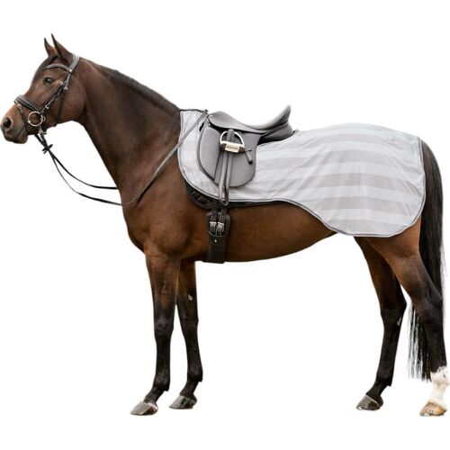 Waldhausen Fliegen-Ausreitdecke Economic Fliegendecke Silbergrau WB kavalio - für mich und mein Pferd - Silbergrau