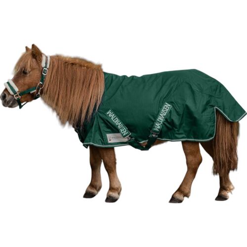Waldhausen Outdoordecke Shetty 100g Comfort Weidedecke Tannengrün kavalio - für mich und mein Pferd - Tannengrün