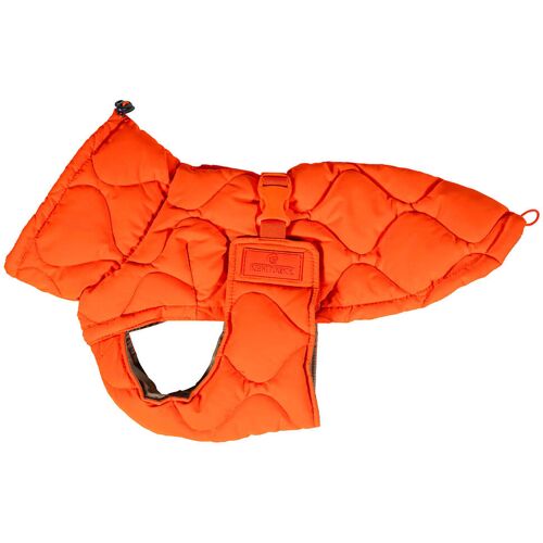 Kentucky Dogwear Hundemantel Winter Pina 160g Dog Coat Orange SM kavalio - für mich und mein Pferd - Orange