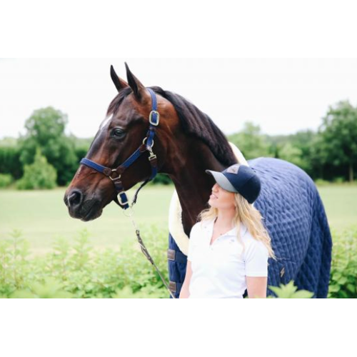 Kentucky Horsewear Stallhalfter Plaited Nylon Halfter Nylonhalfter Beige Full kavalio - für mich und mein Pferd - Beige