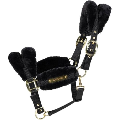 Kentucky Horsewear Nylonhalfter mit Lammfell Soft Stallhalfter Schwarz Cob kavalio - für mich und mein Pferd - Schwarz