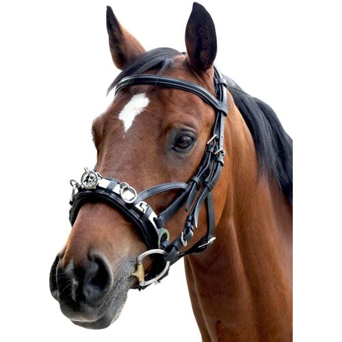 Waldhausen Kappzaum mit Gebißverschnallung Schwarz VB kavalio - für mich und mein Pferd - Schwarz