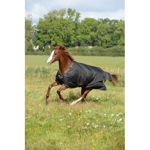 Bucas Outdoordecke 150g Irish Turnout Weidedecke Black/Gold 155 kavalio - für mich und mein Pferd - Black/Gold