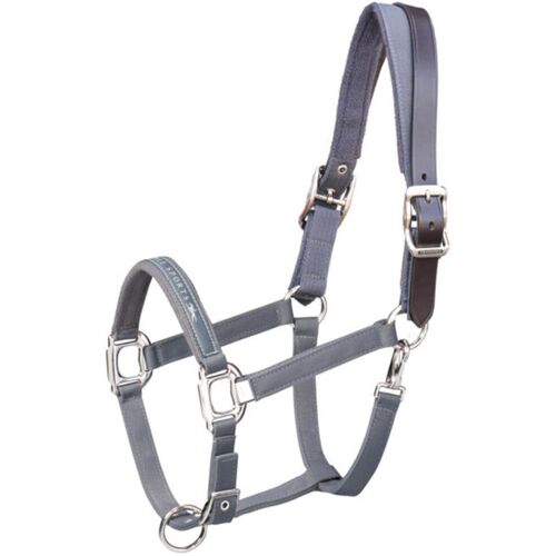 Schockemöhle Sports Halfter Memphis Breakaway Nylonhalfter Antra VB kavalio - für mich und mein Pferd - Antra