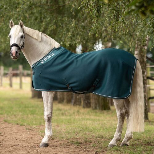 BUSSE Abschwitzdecke 3D Air Premium Teal 125 cm kavalio - für mich und mein Pferd - Teal