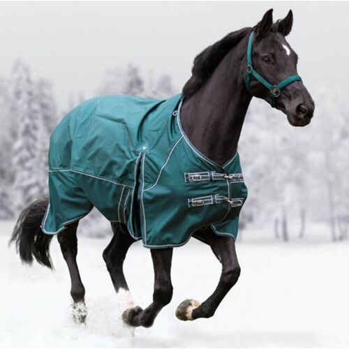 Waldhausen Outdoordecke 100g Comfort Weidedecke Tannengrün 125 cm kavalio - für mich und mein Pferd - Tannengrün