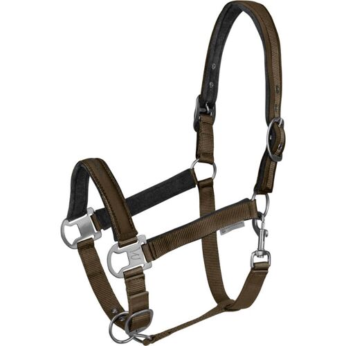 Waldhausen Halfter Athletic Nylonhalfter Grünbraun Pony kavalio - für mich und mein Pferd - Grünbraun