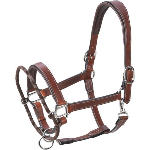 BUSSE Halfter Easy-Correct Lederhalfter Braun WB kavalio - für mich und mein Pferd - Braun