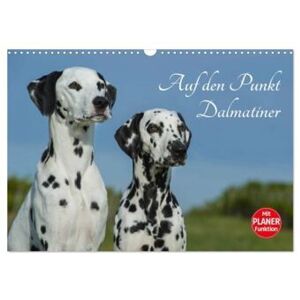 Calvendo Auf Den Punkt - Dalmatiner (Wandkalender 2024 Din A3 Quer), Calvendo Monatskalender