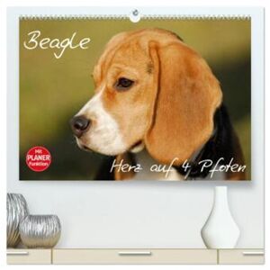 Calvendo Beagle - Herz Auf 4 Pfoten (Hochwertiger Premium Wandkalender 2024 Din A2 Quer), Kunstdruck In Hochglanz