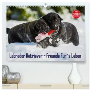 Calvendo Labrador Retriever - Freunde Für´S Leben (Hochwertiger Premium Wandkalender 2024 Din A2 Quer), Kunstdruck In Hochglanz