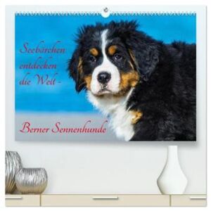 Calvendo Seebärchen Entdecken Die Welt - Berner Sennenhunde (Hochwertiger Premium Wandkalender 2024 Din A2 Quer), Kunstdruck In H