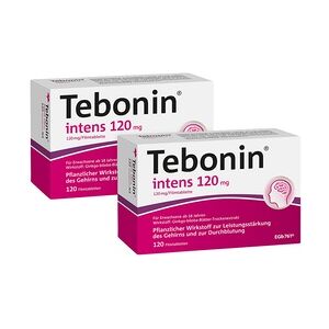 Dr. Willmar Schwabe GmbH & Co. KG Tebonin intens 120 mg 2x120 Stück