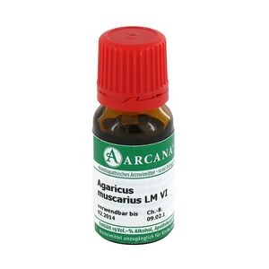 ARCANA Dr. Sewerin GmbH & Co.KG Arzneimittel-Herstellung AGARICUS MUSCARIUS LM 6 Dilution 10 Milliliter