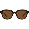 Sonnenbrille Ray-Ban Erik RB4398 902/57 Polarisiert Havana Unisex