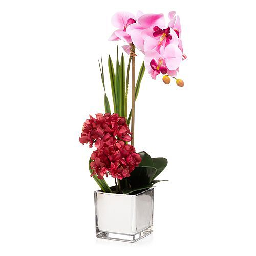 ABELLA Flora künstliche Orchidee Unterbepflanzung Glastopf Höhe 58cm