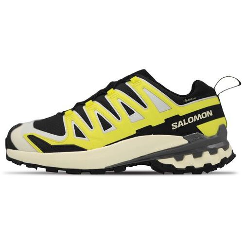 Salomon XA Pro 3D V9 GTX Laufschuhe für Herren Black / Sulphur Spring 42
