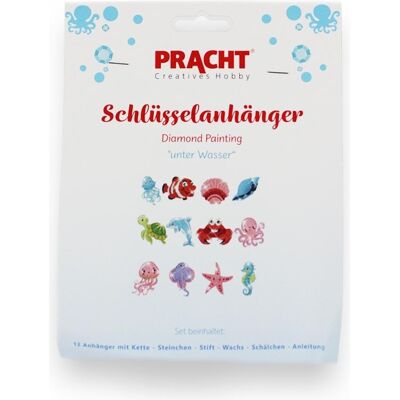 Pracht Diamond Painting Schlüsselanhänger Unter Wasser Pracht Diamond Painting Schlüsselanhänger Unter Wasser