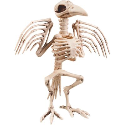 Boland 10104768 BOL72094 Skeleton Bird Decoration, White (1 Stk.) Boland 10104768 BOL72094 Skeleton Bird Decoration, White (1 Stk.)