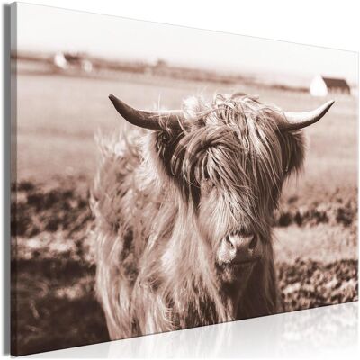 Artgeist, Bilder, A Scottish Cow in Sepia (120 x 80 cm) Artgeist, Bilder, A Scottish Cow in Sepia (120 x 80 cm)