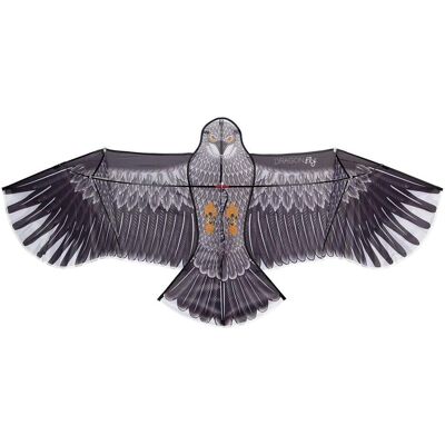 Dragon Fly Eagle Drachen - Leichtgewicht Anthrazit für Kinder Dragon Fly Eagle Drachen - Leichtgewicht Anthrazit für Kinder