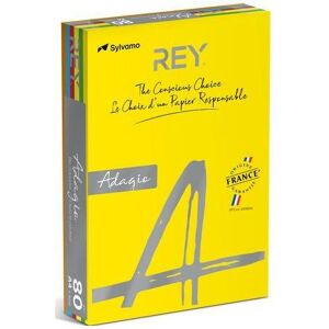 Rey, Kopierpapier, Farbiges Papier RYADA160X904 Farbig Sortiert 160 g/qm (A4, 250 Blätter, 160 g/m²) Rey, Kopierpapier, Farbiges Papier RYADA160X904 Farbig Sortiert 160 g/qm (A4, 250 Blätter, 160 g/m²)
