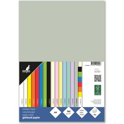 Kangaro, Kopierpapier, Multifunktionspapier, DIN A4 160 g/qm, pastellgrau beidseitig bedruckbar, holzfrei, chlorfrei geble (A4, 50 Blätter, 160 g/m²) Kangaro, Kopierpapier, Multifunktionspapier, DIN A4 160 g/qm, pastellgrau beidseitig bedruckbar, holzfrei, chlorfrei geble (A4, 50 Blätter, 160 g/m²)