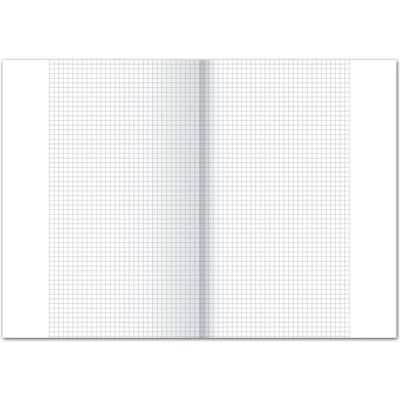 Staufen, Kopierpapier, Kanzleipapier 80 g/qm A3 kariert mit Rand weiss 250 Blatt (A3, 80 g/m²) Staufen, Kopierpapier, Kanzleipapier 80 g/qm A3 kariert mit Rand weiss 250 Blatt (A3, 80 g/m²)