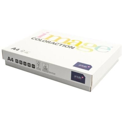 Antalis, Kopierpapier, Coloraction Box (A4, 500 Blätter, 80 g/m²) Antalis, Kopierpapier, Coloraction Box (A4, 500 Blätter, 80 g/m²)