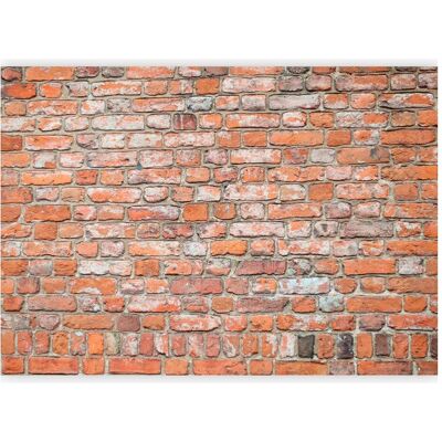Artgeist, Tapete, Fototapete - Loft Wall - Pattern Imitating an Old Red Brick (450 x 315 cm) Artgeist, Tapete, Fototapete - Loft Wall - Pattern Imitating an Old Red Brick (450 x 315 cm)