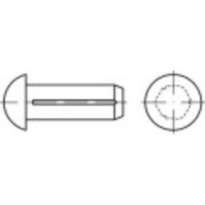 TOOLCRAFT 1066875 Edelstahl Nägel - Rillen-Kopf - Halbrunde Form TOOLCRAFT 1066875 Edelstahl Nägel - Rillen-Kopf - Halbrunde Form