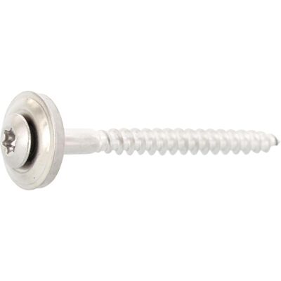 Dresselhaus Edelstahl A2 Dichtscheibe Spenglerschrauben 4,5x45 mm Dresselhaus Edelstahl A2 Dichtscheibe Spenglerschrauben 4,5x45 mm