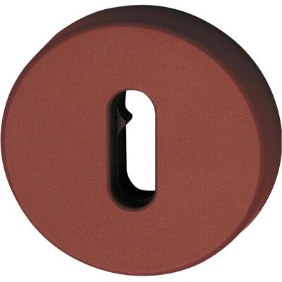 Hewi, Türgriff + Türgarnitur, Schlüsselrosette flach ø 55 x 10,5 mm mit Schrauben Polyamid rubinrot (Türgriff) Hewi, Türgriff + Türgarnitur, Schlüsselrosette flach ø 55 x 10,5 mm mit Schrauben Polyamid rubinrot (Türgriff)