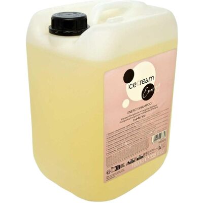 Ducray, Shampoo, Inebrya, Ice Cream Energy, Hair Shampoo, Anti-Hair Loss, Refill, 10000 ml Unisex (Läuse Shampoo) Ducray, Shampoo, Inebrya, Ice Cream Energy, Hair Shampoo, Anti-Hair Loss, Refill, 10000 ml Unisex (Läuse Shampoo)