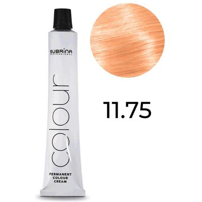 Subrina, Haarfarbe, Vopsea de par permanenta Highlift Colour 11/75, Blond Special Rosu Castaniu, 100ml (11/75 Blonde Special Chestnut Red) Subrina, Haarfarbe, Vopsea de par permanenta Highlift Colour 11/75, Blond Special Rosu Castaniu, 100ml (11/75 Blonde Special Chestnut Red)