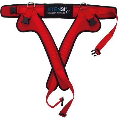 Sport-Thieme Gurt für XTENSi-Schaukel Sport-Thieme Gurt für XTENSi-Schaukel
