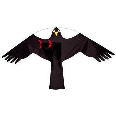 Wolkenstürmer Bird Wolkenstürmer Bird