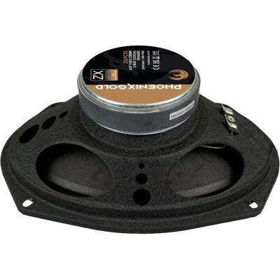 Phoenix gold, Car HiFi Lautsprecher, 6'x9' ZX69CXS 2-Wege-Koaxiallautsprecher 80 WRMS (240 W, 6 x 9) Phoenix gold, Car HiFi Lautsprecher, 6'x9' ZX69CXS 2-Wege-Koaxiallautsprecher 80 WRMS (240 W, 6 x 9)
