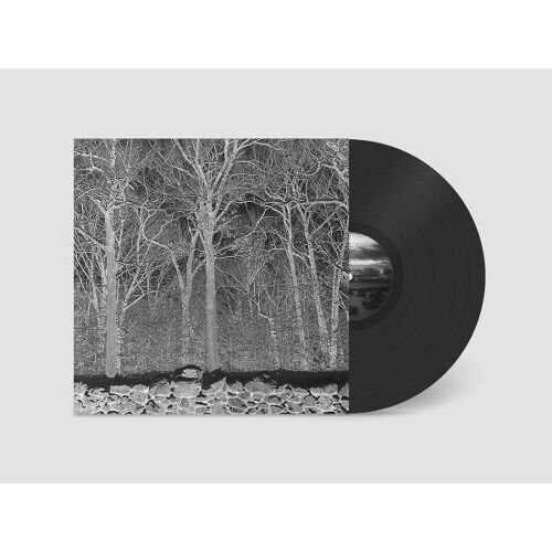 Cargo Sunshine & Balance Beams, Schallplatten