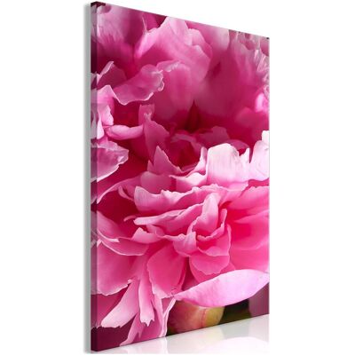 Artgeist, Bilder, Blossom of Beauty (1-part) - Pink Peony Flower Embraced by Nature (80 x 120 cm) Artgeist, Bilder, Blossom of Beauty (1-part) - Pink Peony Flower Embraced by Nature (80 x 120 cm)